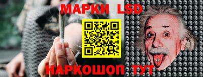 индика Рыбинск
