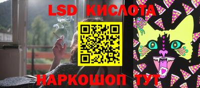 индика Рыбинск