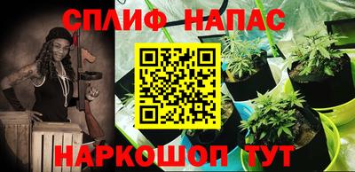 индика Рыбинск
