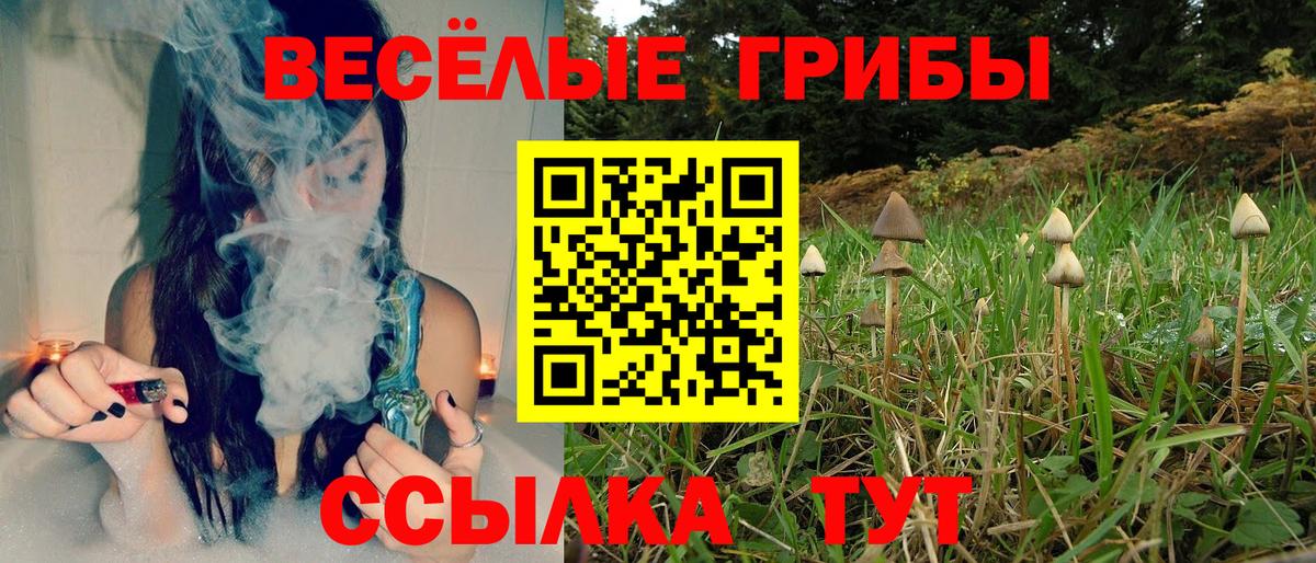Павловский Посад  Псилоцибиновые грибы MAGIC MUSHROOMS  Вход с VPN 